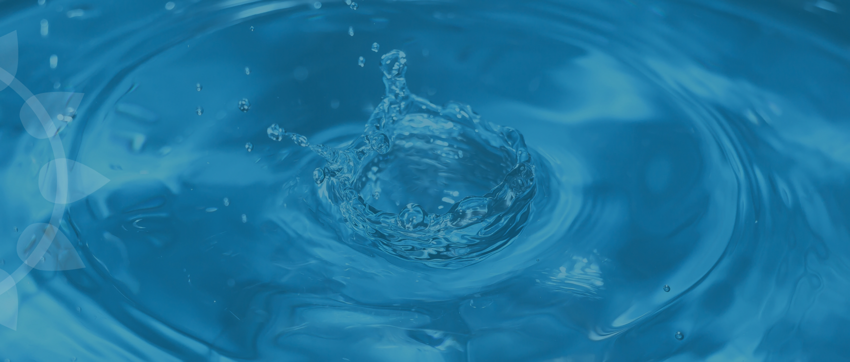 WASH   (water sanitation & hygiene)-banner